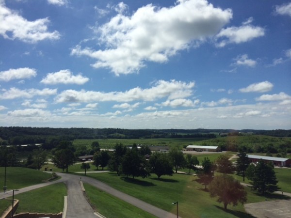 My view all week. I think the sky is a special kind of blue here.