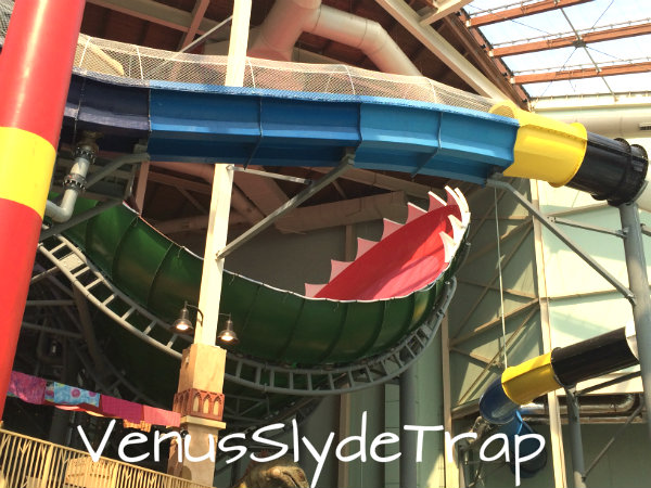 I actually rode this thing!