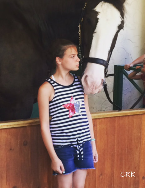 Not Afraid of a Giant Horse.